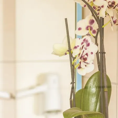 Wilbergerhof Royalthai