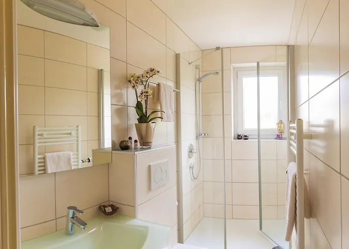 威尔博格霍夫泰式皇家酒店 2* 霍恩-巴特迈恩贝格