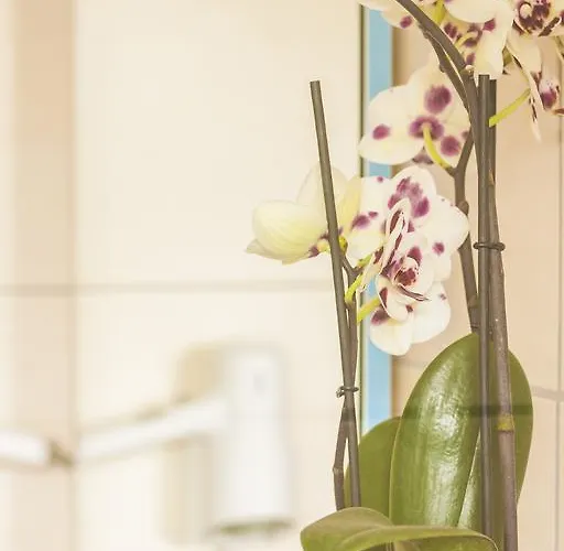 威尔博格霍夫泰式皇家酒店